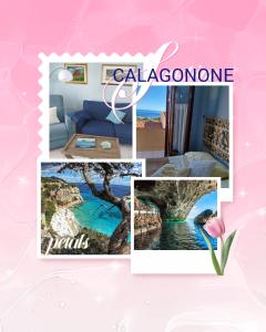 casa ORCHIDEA oasi di relax
