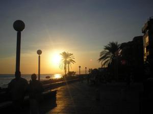 Paradise