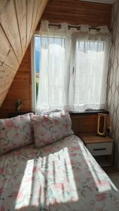 DOL House