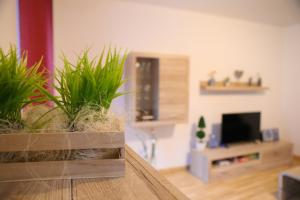 Apartment Nepomuk