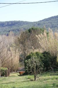 B&B / Chambres d'hotes Les Vingalieres : photos des chambres