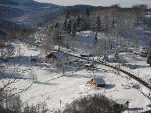 B&B / Chambres d'hotes La Ferme du Vieux Sapin : photos des chambres