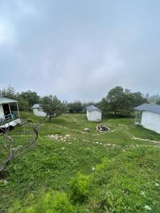 Auli Retreat Mountain View Cabin Apple Orchard