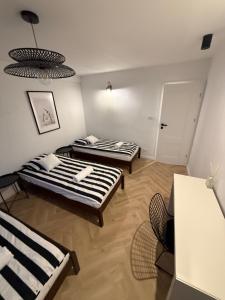 Apartament Nowy Świat