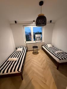 Apartament Nowy Świat