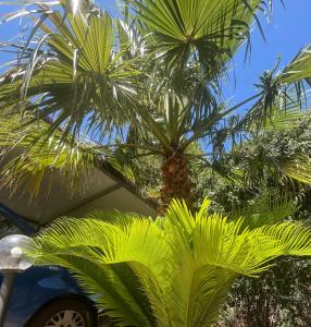 Homestay House riservata intero appartamento