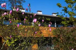 Apartamentos Casona de la Paca - La Atalaya