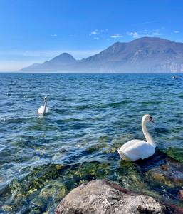 Appartamento sul lago