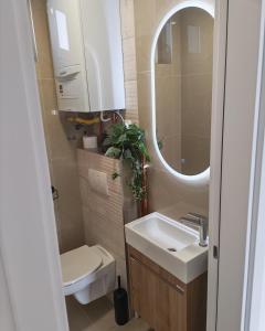 Apartman BB1