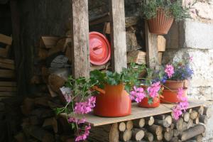 Antica Corte Leguzzano B&B