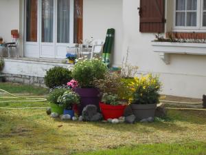 Appartements La Grillotte : photos des chambres