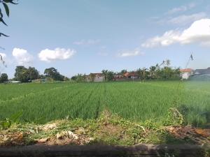 Coworking Paradise Ashna Vikram - 4 bedrooms