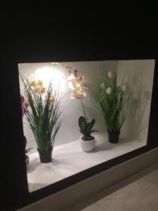 Appartements Appart' Spa et Sauna Privatif Au Coeur De Beaune : photos des chambres