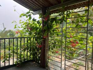 Pák Pe Homestay