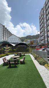 AYZEL Nova Homestay with Private parking & Netflix Near Kea Farm & Mossy Forest