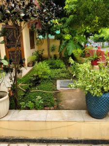 Nature Villa in Jaipur - Private Garden Stay