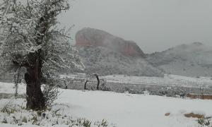 El Palomar de Peñarrubia