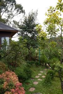 An Nhiên Senerity Homestay