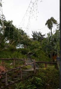 An Nhiên Senerity Homestay