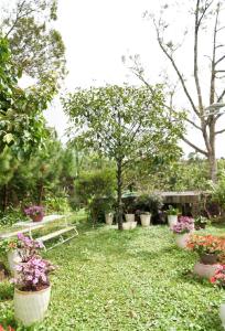 An Nhiên Senerity Homestay