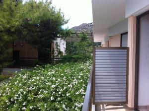 Angela Hotel Aegina Greece