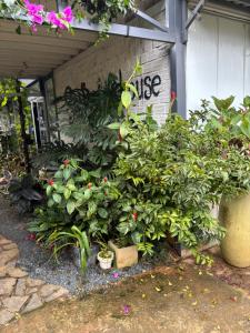 Swing home da lat