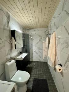 Cozy apartment near the Santa Claus Village
