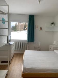Casa Macrì Marilleva 900