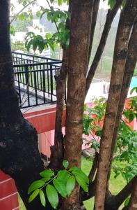 Home Stay for Families - Memorable & Peaceful