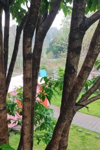 Home Stay for Families - Memorable & Peaceful