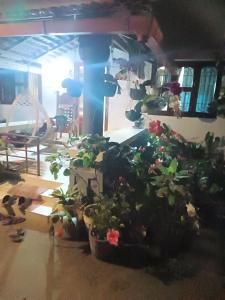 Adhi estate stay