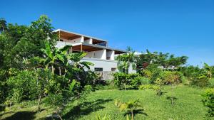 Zanzi Dream Apartment and Pool