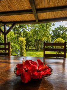 Villa les orchidees
