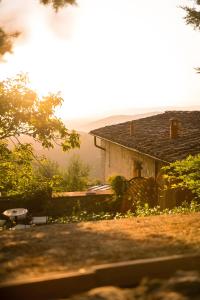 Villa La Torre Tenuta Lonciano