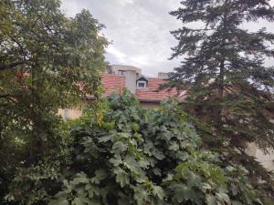 The old Burgas