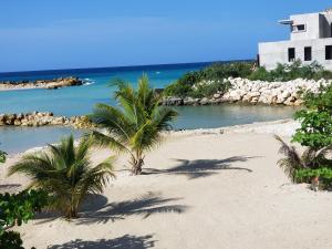 Paradise at Paradisiac
