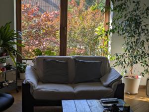 Highstreet Loft
