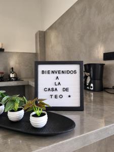 La Casa de Teo