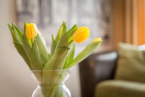 Saaresalu City Center Apartment