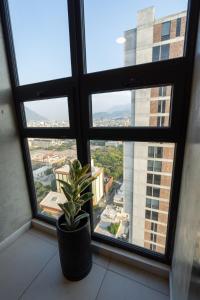 Monterrey 2 people LOFT Macroplaza Centro