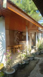 Creative homestay