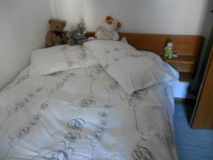 Comfortable apartment