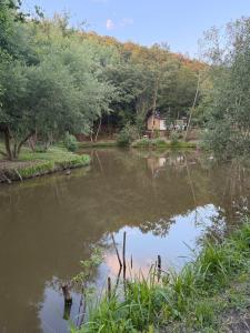 Cabana Delenilor