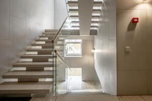 Modern City Apartment