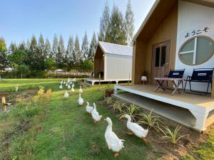 Tim Bill Farm - ทิมบิลฟาร์ม ราชบุรี