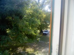 Camera Familiare con Bagno in Comune