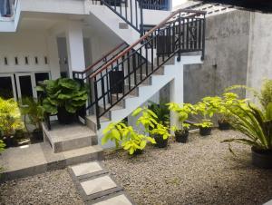 The two level guesthouse