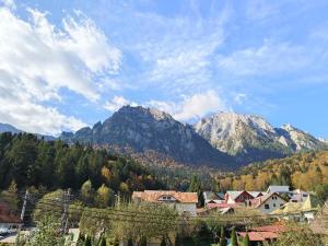 D&D Apartament - Busteni Mountain View
