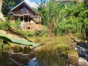 Avonest Eco Cottage Ella