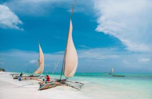 Villa Katerina-Zanzibar Apartment Paje